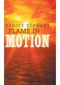 Flame in Motion