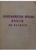 Biodynamiczna uprawa roślin na działce