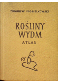 Rośliny Wydm