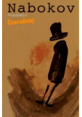 Czarodziej