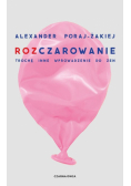 Rozczarowanie. Trochę inne wprowadzenie do zen