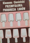 Przemysłowa produkcja lodów