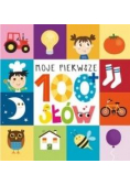 Moje pierwsze 100 słów