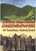 W ludzkiej i leśnej kniei