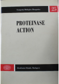 Proteinase Action