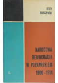 Narodowa Demokracja w Poznańskiem 1900-1914