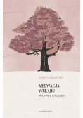 Medytacja wglądu Praktyka wolności