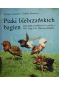Ptaki biebrzańskich bagien