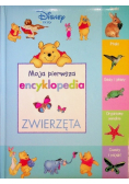 Moja pierwsza encyklopedia zwierzęta