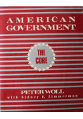American government