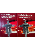 Kapliczki  figury i krzyże przydrożne Tom 1 i 2