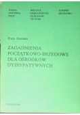 Zagadnienia początkowo brzegowe dla ośrodków dyssypatywnych