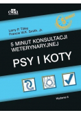 5 minut konsultacji weterynaryjnej