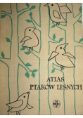 Atlas ptaków leśnych