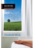 Krzyk ciszy