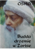 Budda drzemie w Zorbie