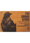 Ptaki chronione w Polsce Ptaki drapieżne 2