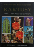 Kaktusy Zdjęcia i opisy ponad 1200 gatunków