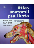 Atlas anatomii psa i kota