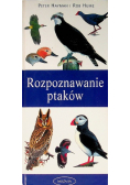 Rozpoznawanie ptaków