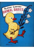 Animal babies