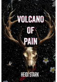 Volcano of Pain