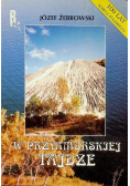 W przyamurskiej tajdze