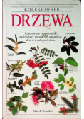 Drzewa