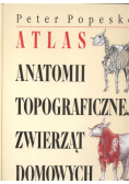 Atlas anatomii topograficznej zwierząt domowych