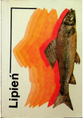 Lipień