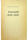 Dzienniki 1910 1923