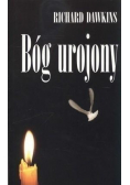 Bóg urojony