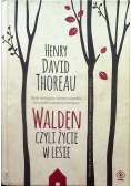 Walden Czyli życie w lesie