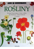 Rośliny