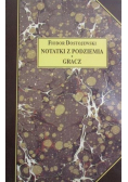 Notatki z podziemia Gracz