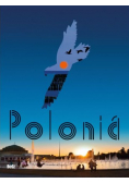 Polska wersja hiszpańska