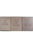 Atlas of Human Anatomy 3 tomy