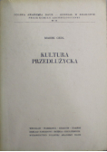 Kultura Przedłużycka