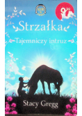 Strzałka Tajemniczy intruz