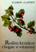 Rośliny lecznicze i bogate w witaminy