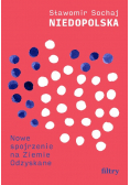 Niedopolska Nowe spojrzenie na Ziemie Odzyskane