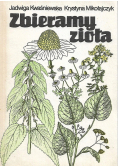 Zbieramy zioła