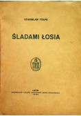Śladami łosia 1936 r