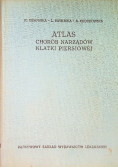 Atlas chorób narządów klatki piersiowej
