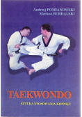 Taekwondo sztuka stosowania kopnięć