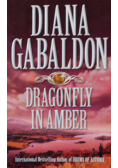 Dragonfly in Amber