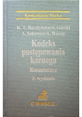 Kodeks postepowania karnego