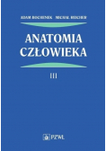 Anatomia człowieka Tom III