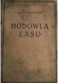 Hodowla lasu 1921 r