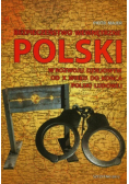 Bezpieczeństwo wewnętrzne Polski w rozwoju dziejowym